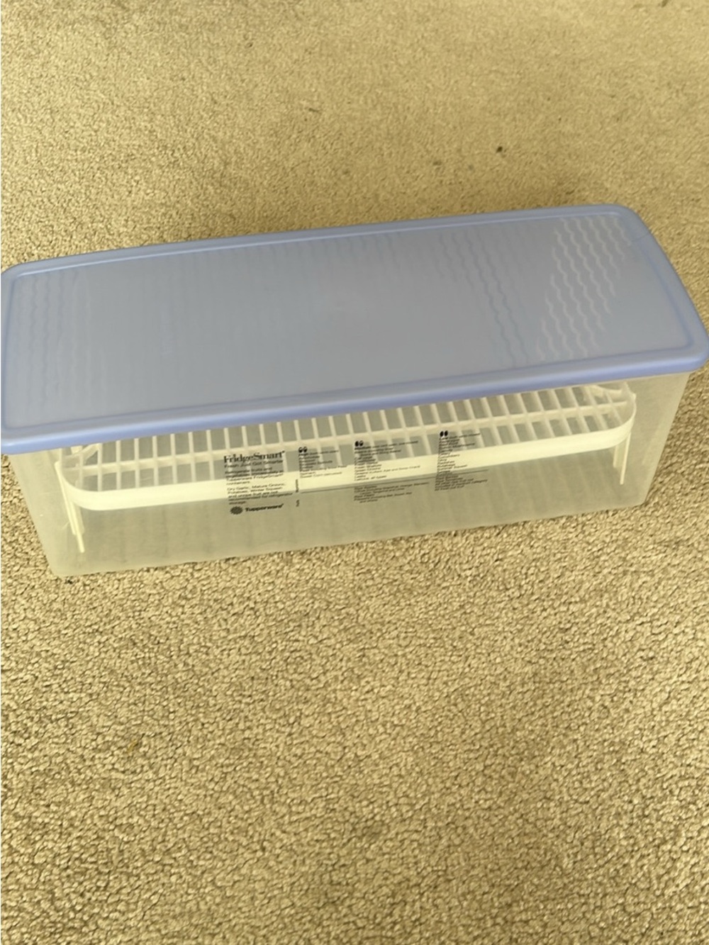 Tupperware Large Fridge Smart Clear Refrigerator container with Pale Blue Lid